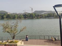 -羊山湖公园