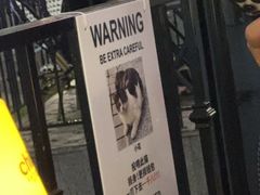 -Chili's Cafe&Bar奇利斯(滨江店)