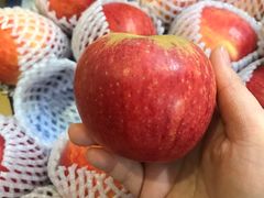 -菜园坝水果市场