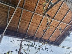 -燕塞湖鸟语林景区