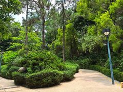 -九龙公园