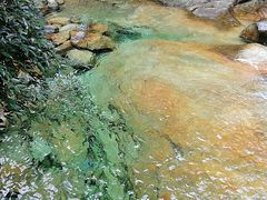 -祁门牯牛降观音堂风景区