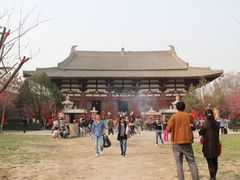 IMG_3406-西安青龙寺遗址景区
