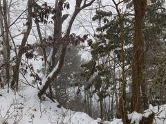 -九峰山
