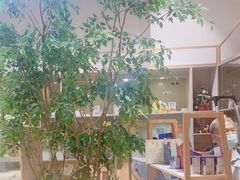 -屋虎猫馆(宝安大仟里店)