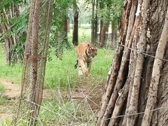 -秦皇岛野生动物园