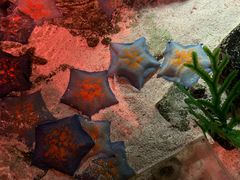 -沈阳海洋探索中心