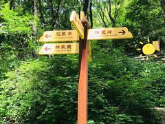 -老象峰