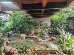 -三江森林温泉度假区