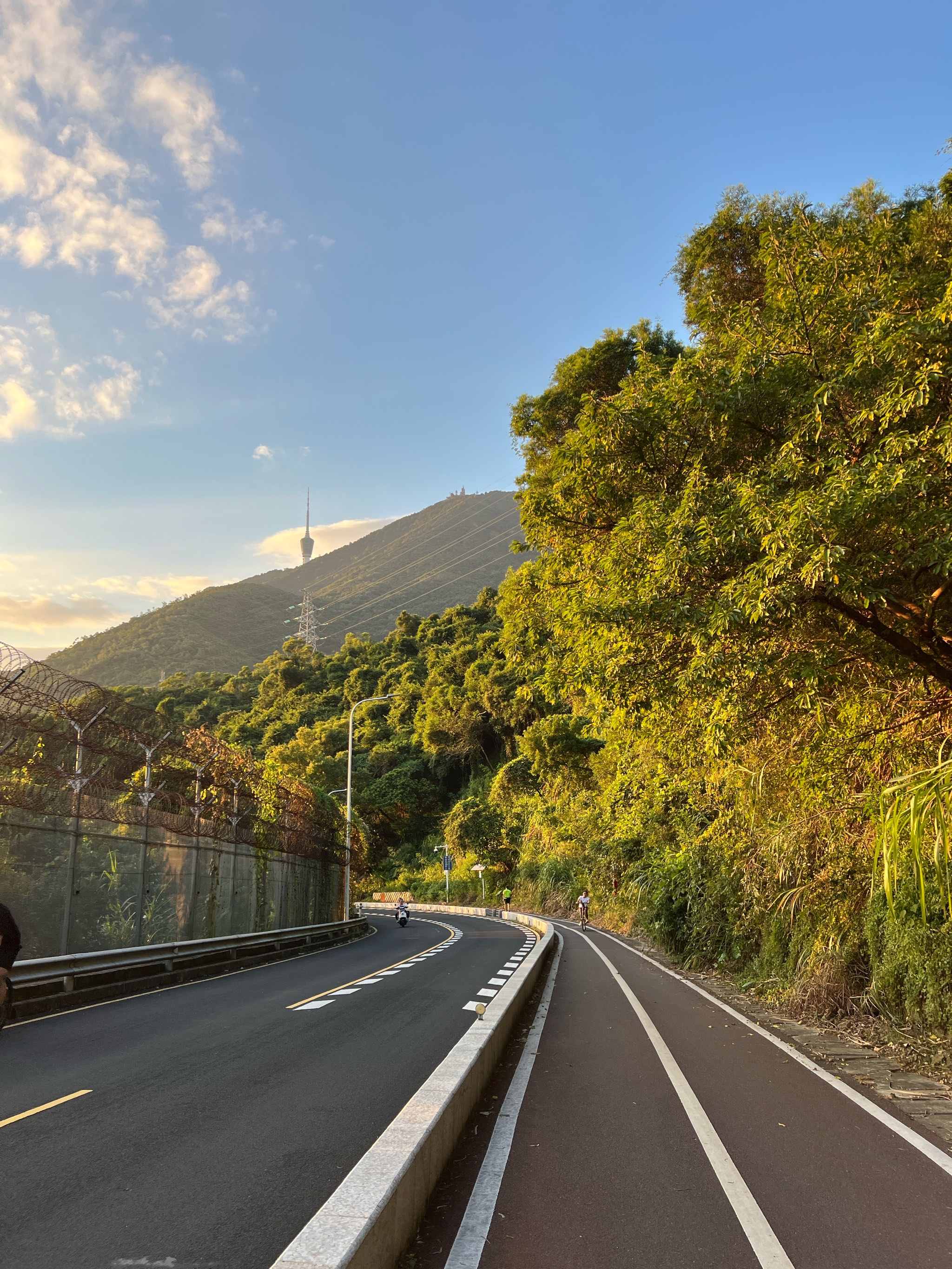 苹果山路壁纸图片