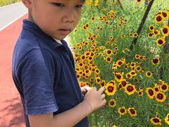 -上海长兴岛郊野公园