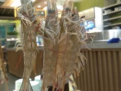 -鲜货俚鲜火锅(青果路店)