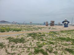 -湄洲岛