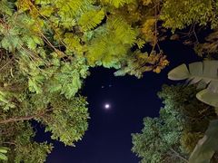 -金穗园温泉酒店