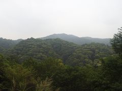 -黄埔油麻山森林公园