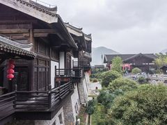 -大唐贡茶院
