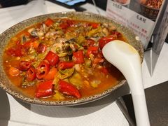 -峨嵋一派