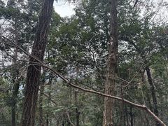 -西湖风景区十里琅珰-五云山