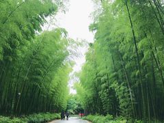 -天目湖御水温泉·度假酒店