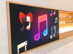 -Apple零售店(玄武湖店)