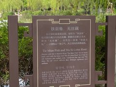 -包公祠