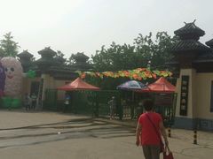 -御林古桑园