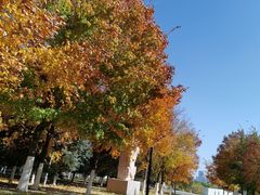 -长春世界雕塑园冰雪艺术天地