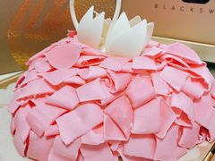 心舞20cm-BLACKSWAN黑天鹅(环球店)