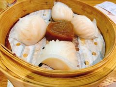 -赏点粤式点心(广州塔店)