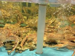 -国惠大酒楼(仓山万达店)