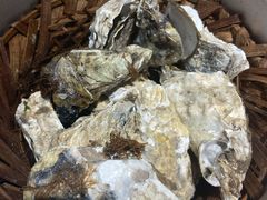 -臻炙大舍烤串(天龙家园店)