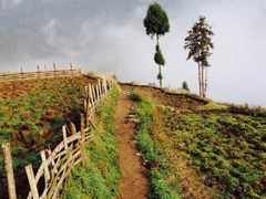 -公盂村