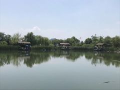 -西京湾花海