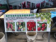 -普迪生态园