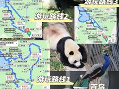 -黔灵山公园