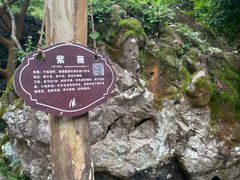 -刘伯温故里景区百丈漈