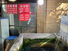-抚仙湖生态石锅鱼野生菌(告庄店)