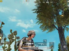 -云洞岩妹仔盐鸡(漳州古城店)