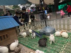 -史努比缤纷世界