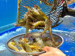 -船梆煮•蒸汽海鲜·炉火烤肉(五四广场店)