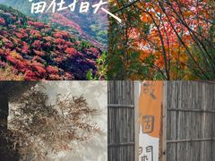 -空心山旅游区