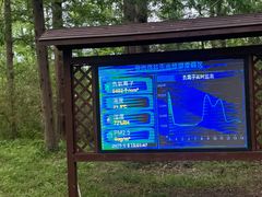 -黄海国家森林公园