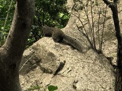 -天津盘山风景名胜区