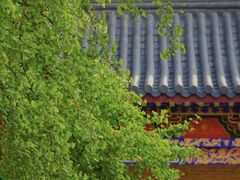 -南山风景名胜区