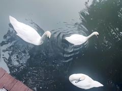 -无锡动物园·太湖欢乐园