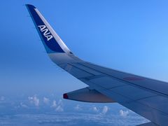 -全日本空输株式会社(上海办事处)
