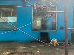 -秦皇岛野生动物园