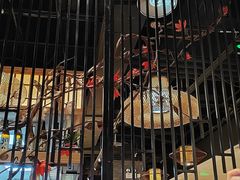 -游You House(西单老佛爷店)