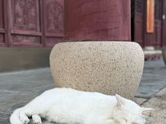 -无锡惠山寺