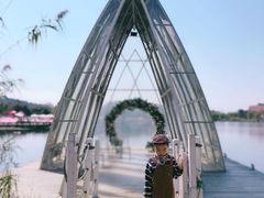 -大塘金香草谷